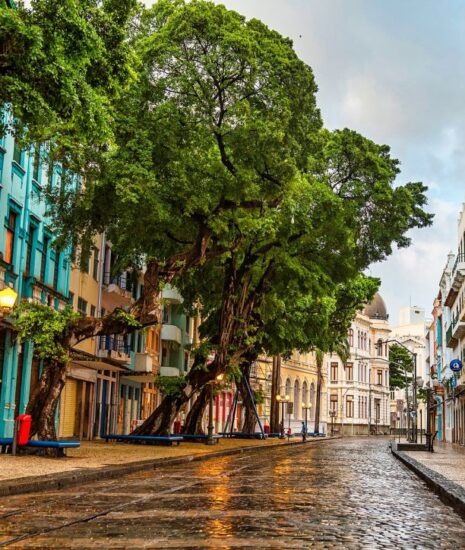 Há 30 anos, resgate do Bairro do Recife começava pela Rua do Bom Jesus