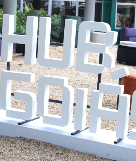 Hub Goiás representa o Centro-Oeste em evento nacional sobre inteligência artificial e impacto socioambiental