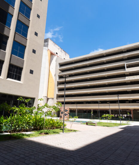 Instituto Cervantes escolhe o Bairro do Recife para nova instalação: "O futuro passa por aqui" (Imagem: Divulgação)